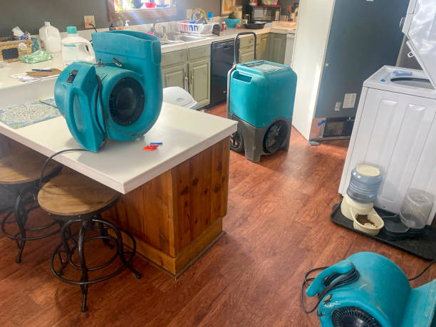 Best 24-hour water damage restoration  in Winston, OR
