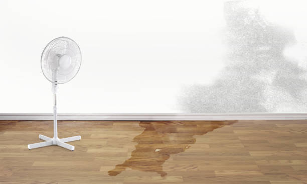 Best Water damage cleanup near me  in Winston, OR