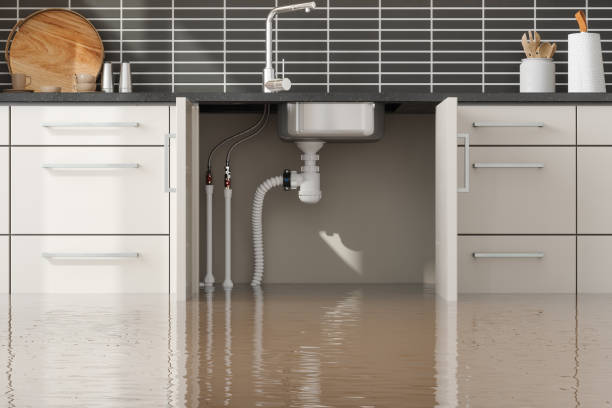 Best Residential water damage restoration  in Winston, OR
