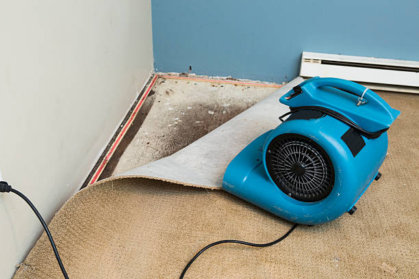  Winston, OR Water damage restoration Pros